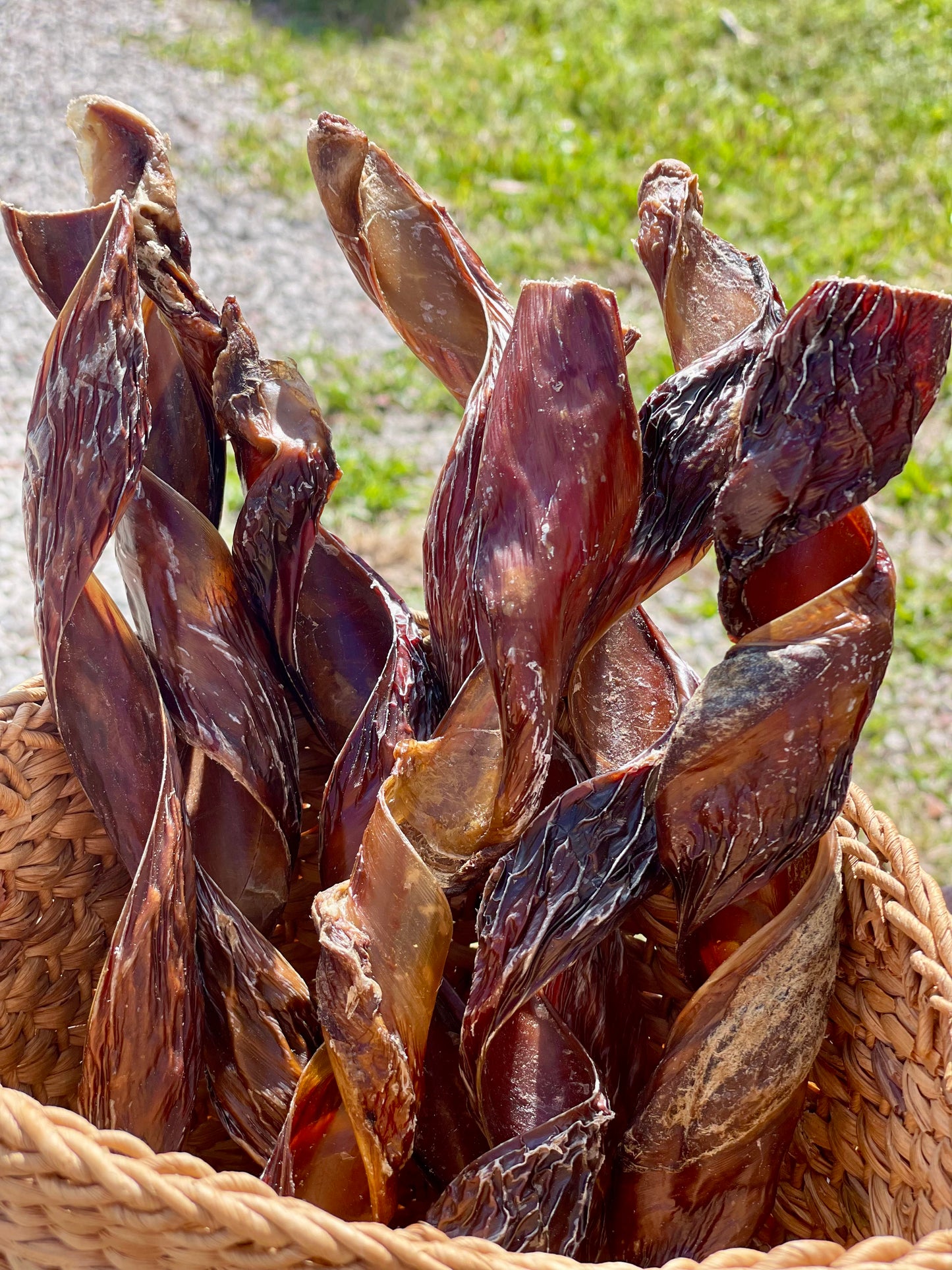 Beef Jerky Springs