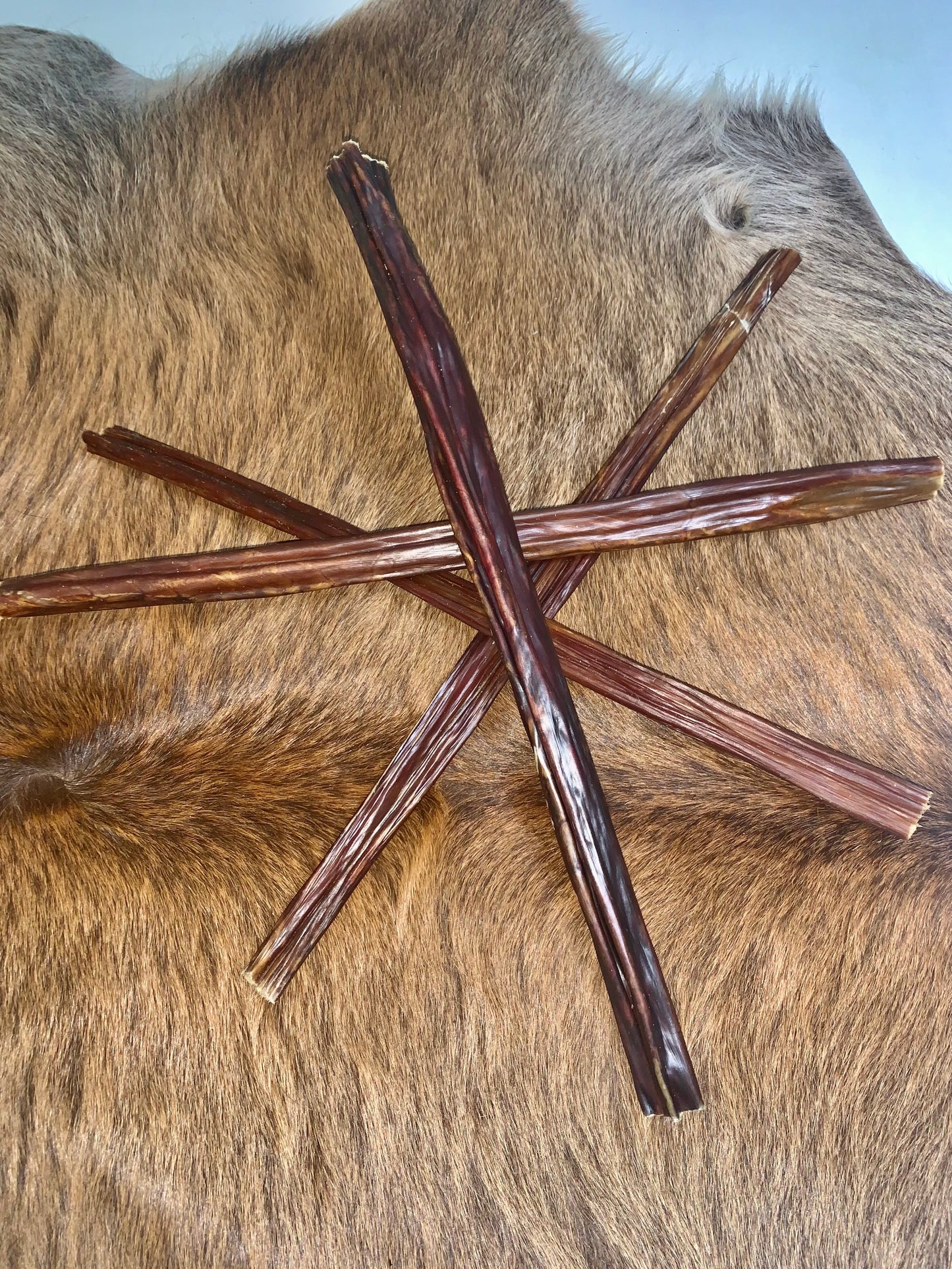 Slow-dried beef esophagus dog treat - 100% digestible chondroitin-rich chew for active dogs