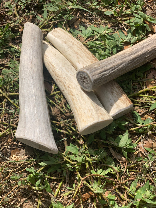 Natural elk antler dog chew 6-8 inches - long-lasting Wisconsin-sourced antler rich in minerals