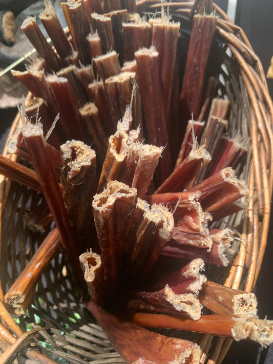 Natural beef esophagus dog chew stick - 12 inch digestible treat rich in glucosamine for joint support