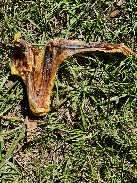 Duck Wing Dog Treats - All-Natural Crunchy Chew
