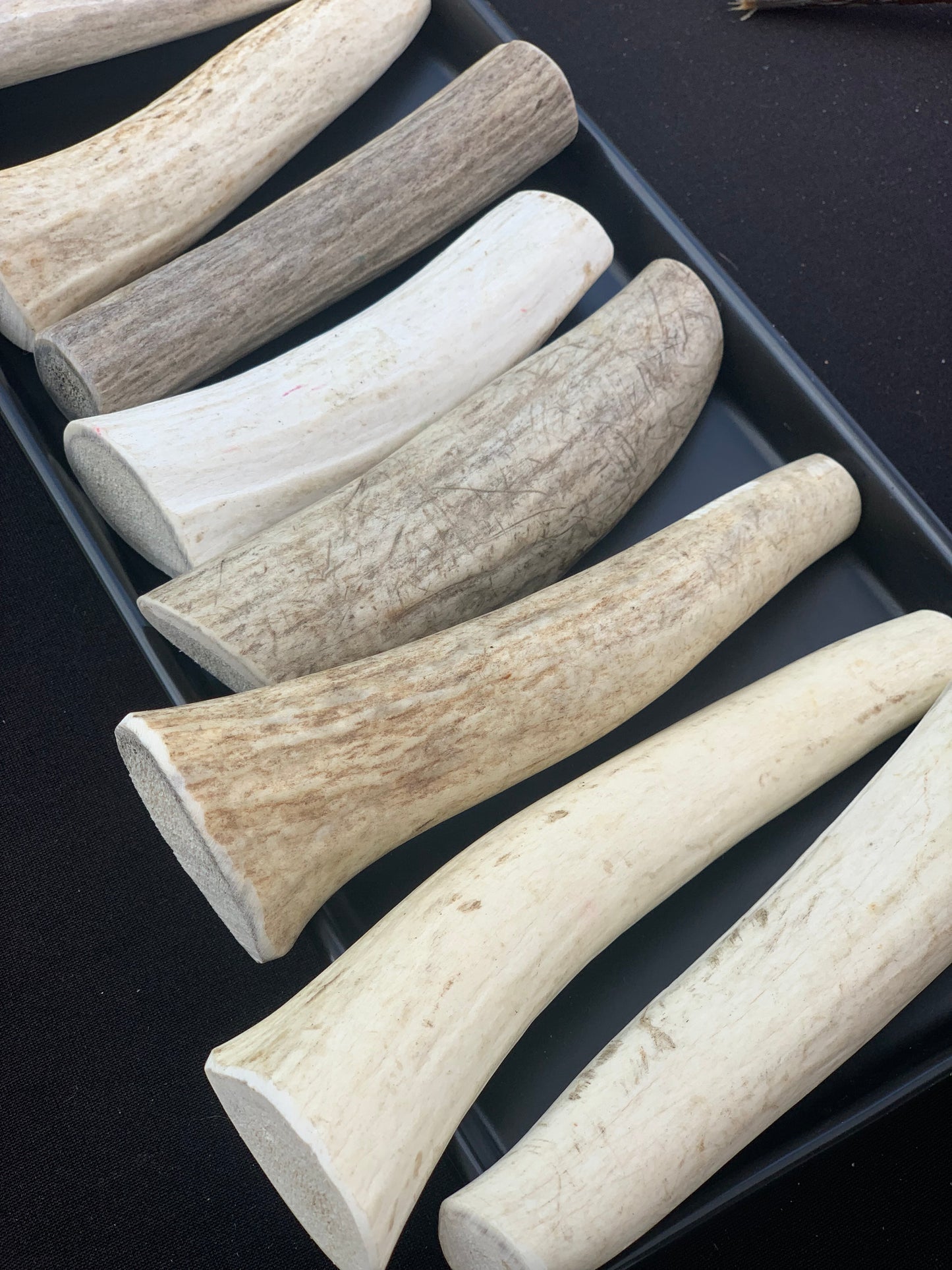 Premium elk antler chew for dogs - naturally shed antler promotes dental health and strong teeth