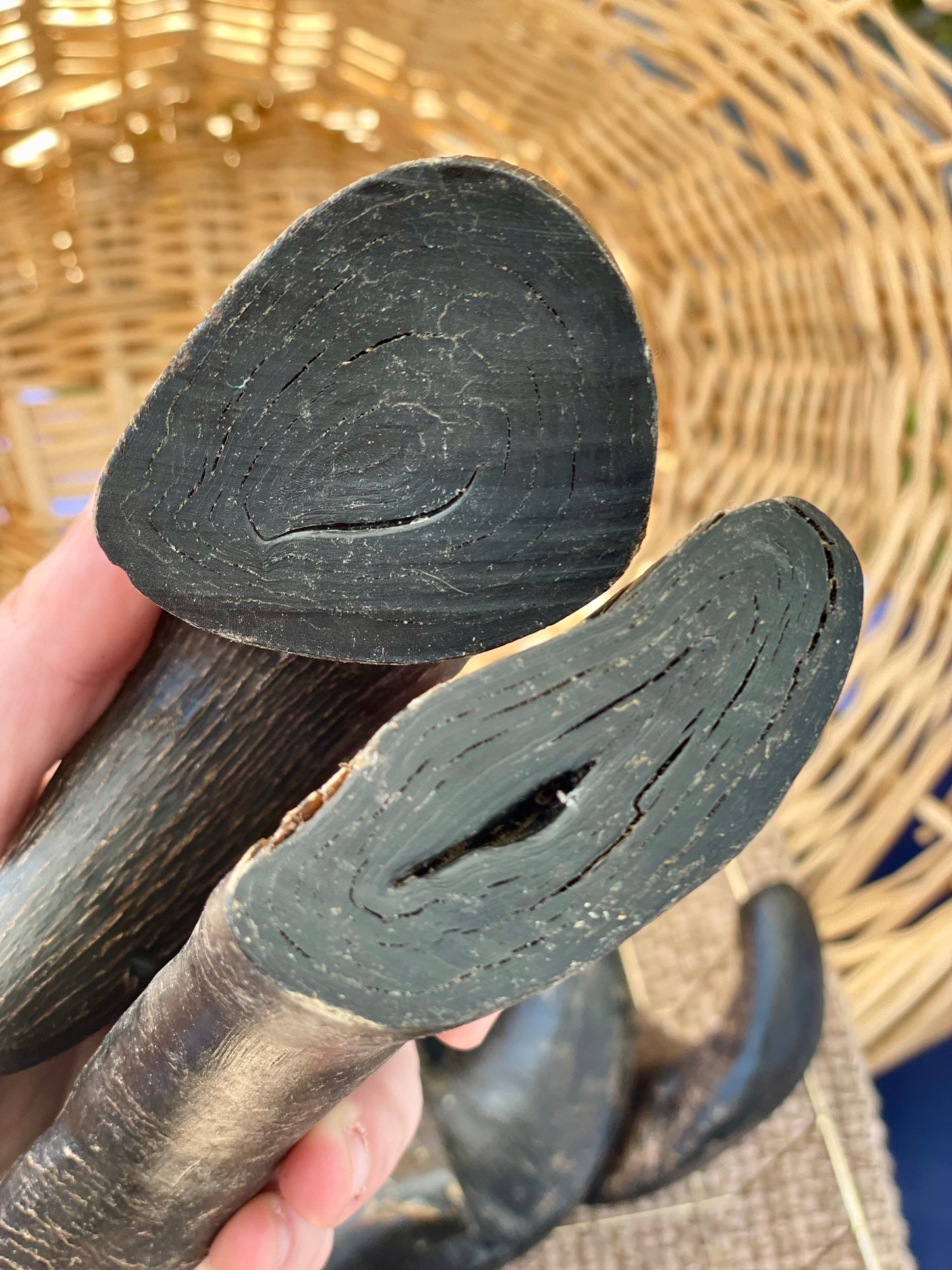 Ethically sourced water buffalo horn - single-ingredient sustainable dog chew with no chemicals