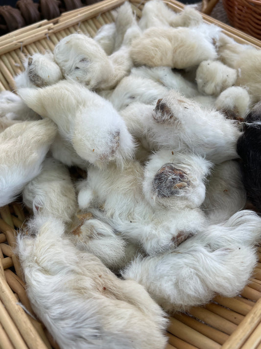 Rabbits Foot with Fur - Natural Dog Digestive Aid