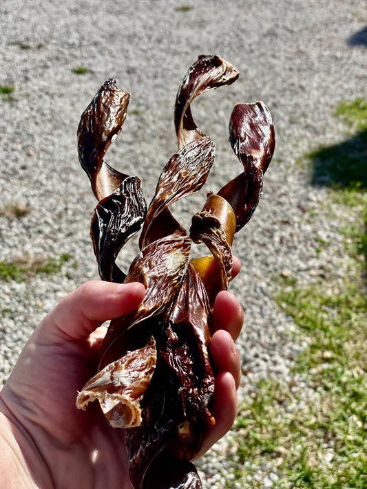 Natural beef jerky springs for dogs - slow-dried chewy treat promotes healthy teeth and gums