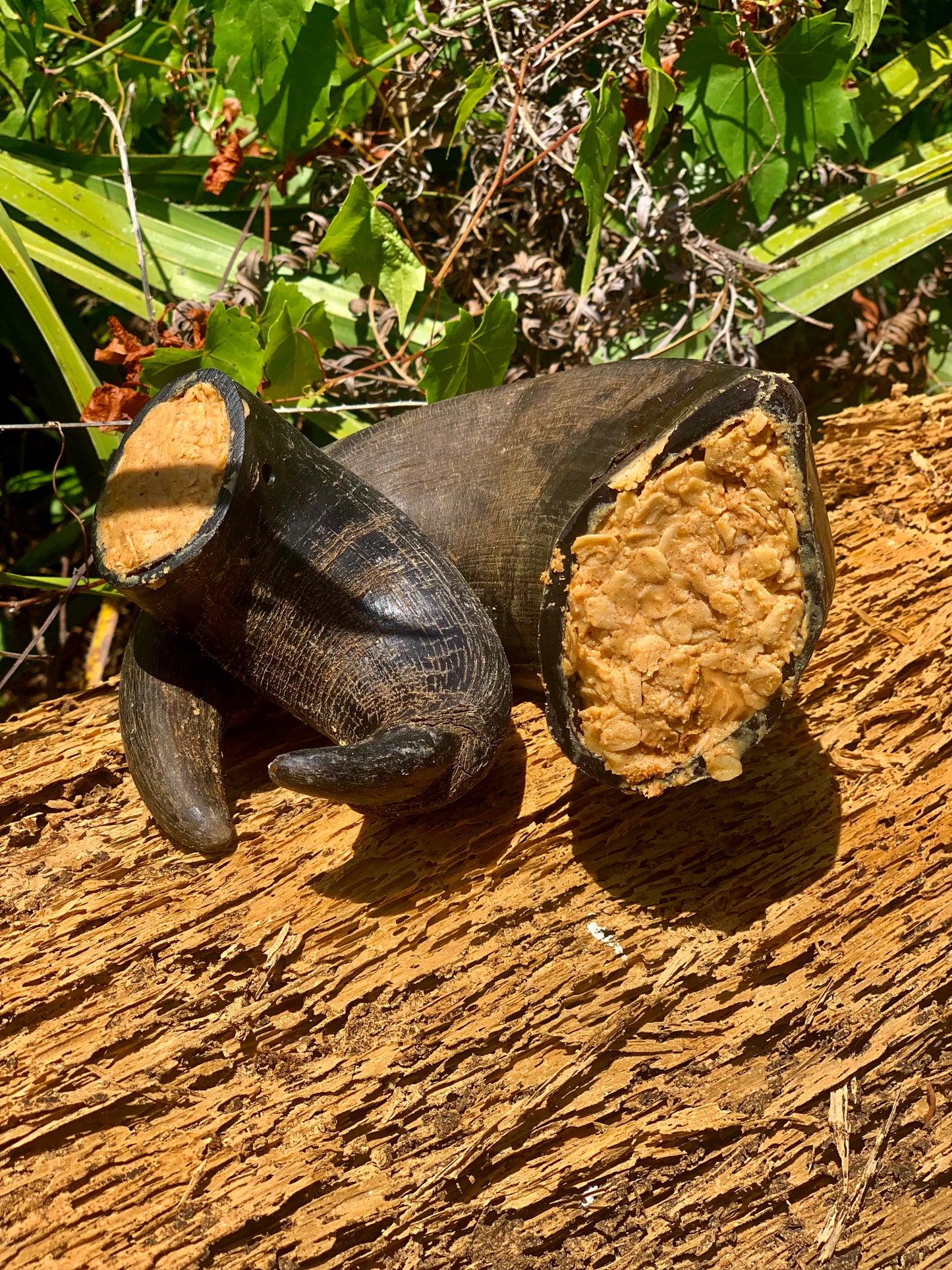 Stuffed Buffalo Horn Chew