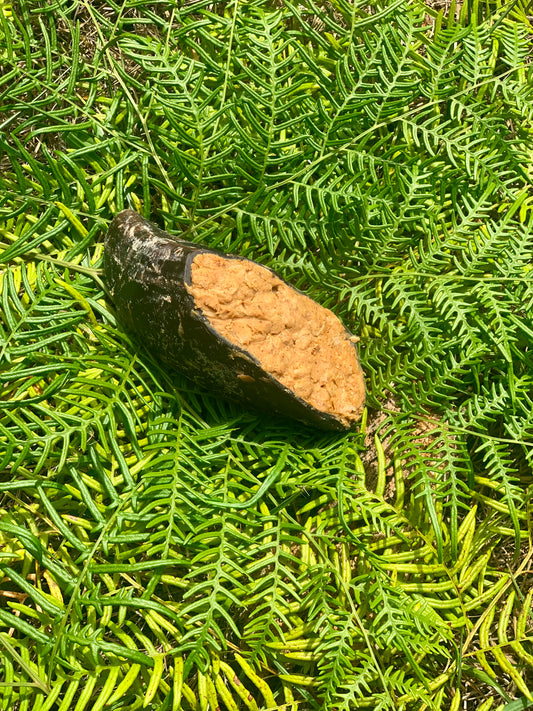 Natural cow hoof dog chew stuffed with peanut butter and oats - premium dental treat for dogs