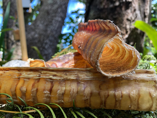 All-natural beef trachea dog chew - digestible hollow tube treat rich in glucosamine for joint health