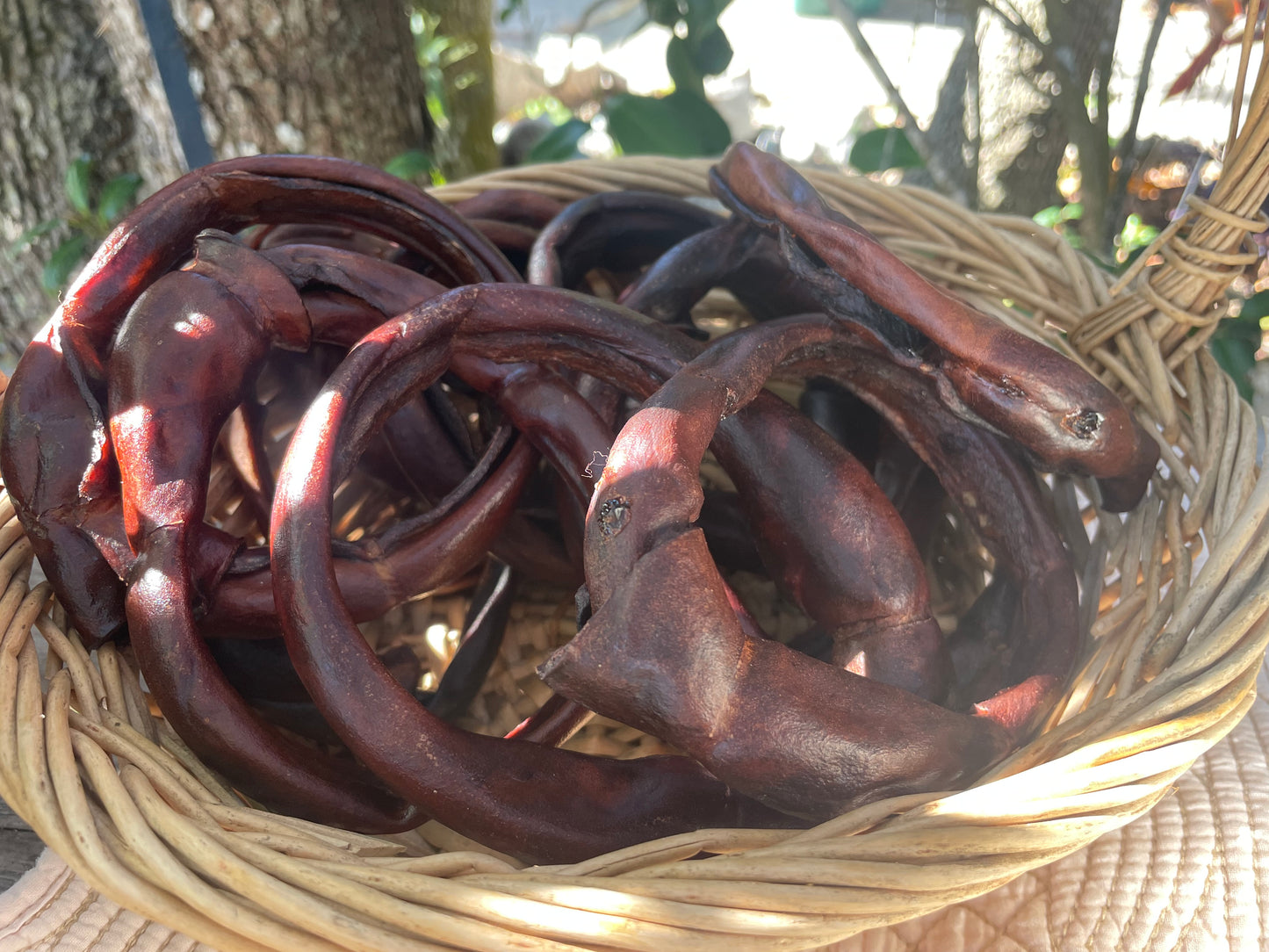 Beef collagen ring dog chew - natural USA-sourced long-lasting treat supports joint and skin health