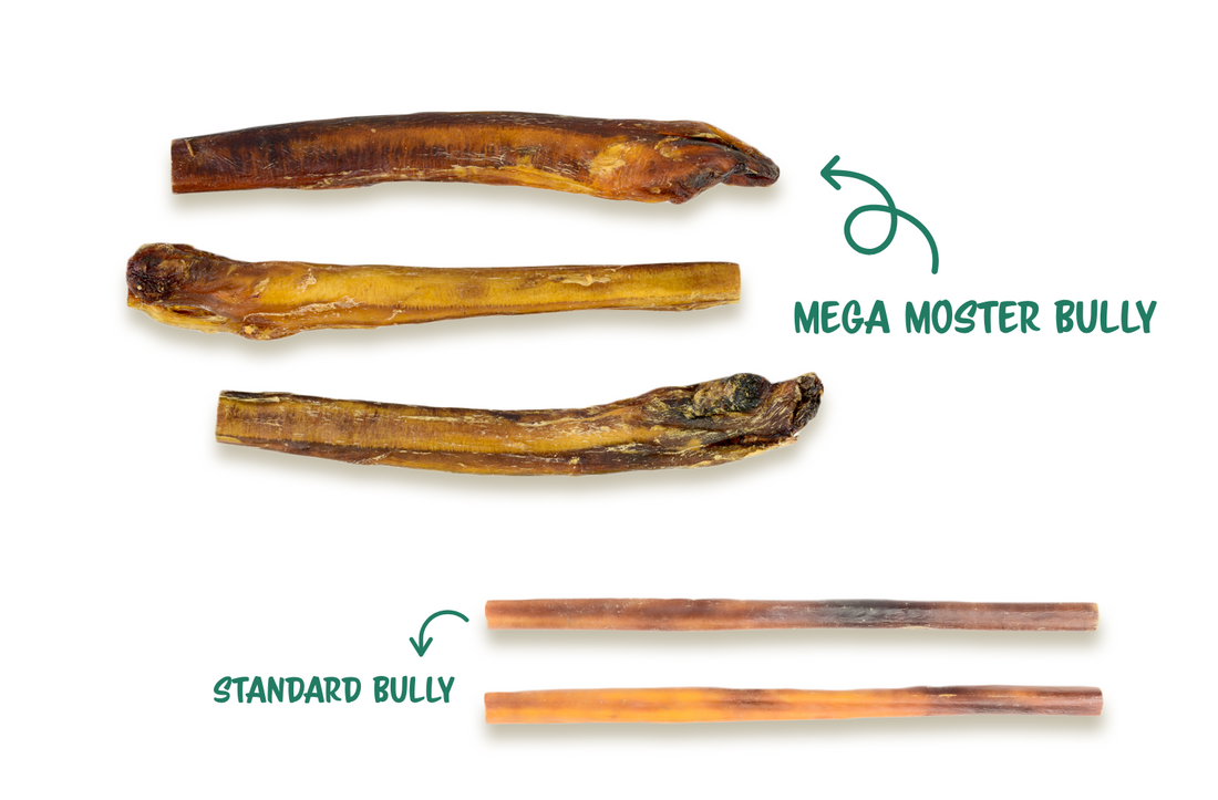 Mega Monster Bully Stick - 100% Beef Pizzle