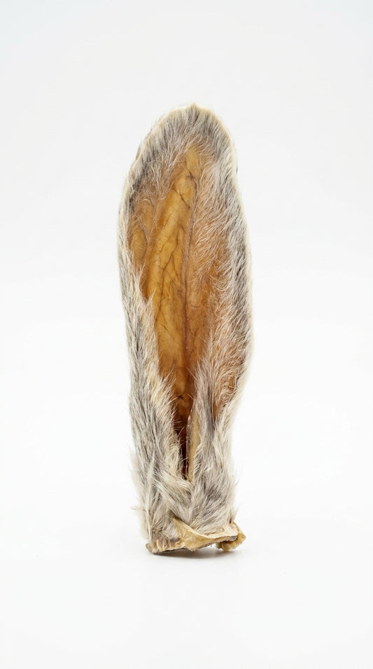 Rabbit Ear with Fur - Natural Digestive Aid & Dewormer