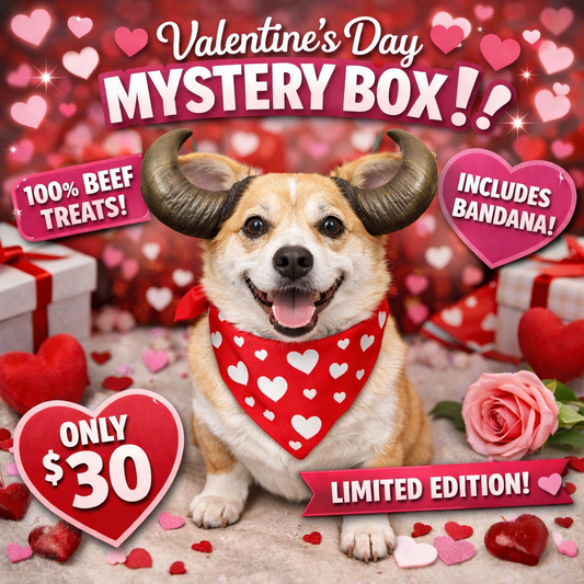Valentine's Day mystery box for dogs - gift box with beef treats bandana and best-selling items