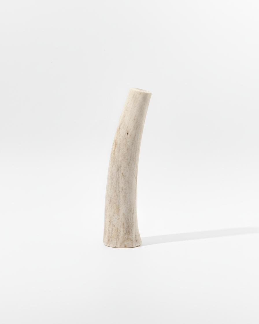 Elk antler dog chew on white background