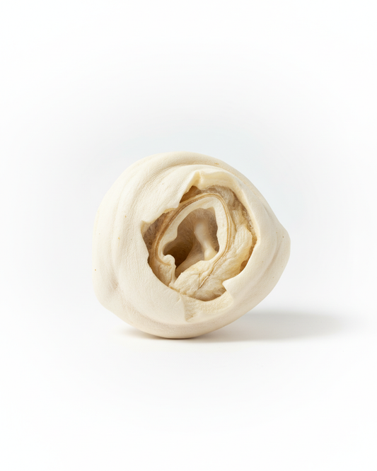 Beef Bagel Dog Chew - Collagen-Rich Chew