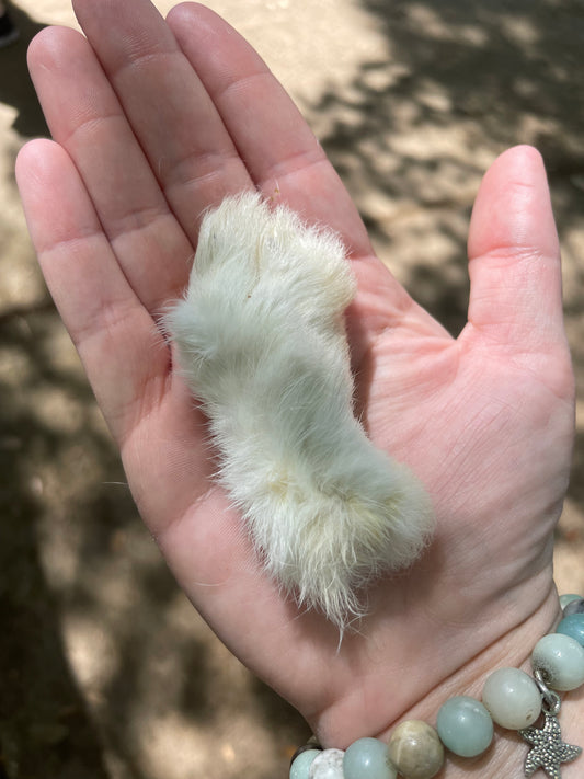 Rabbits Foot with Fur - Natural Dog Digestive Aid
