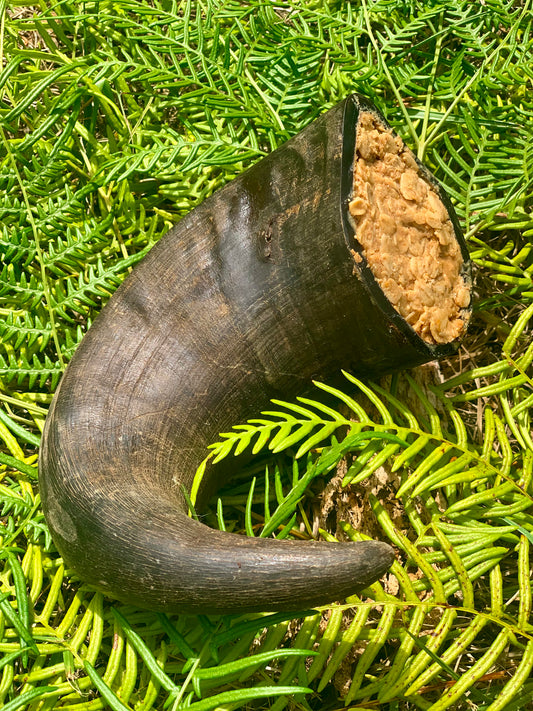 Stuffed Buffalo Horn Chew