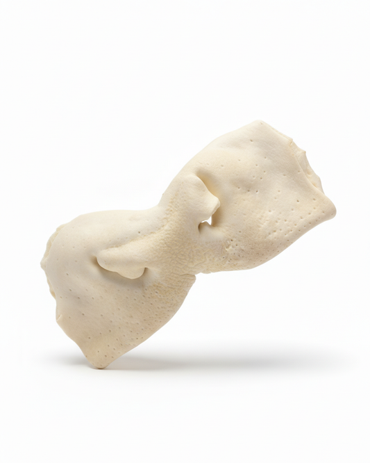 Beef Snout Dog Chew - Natural Moo Snoot