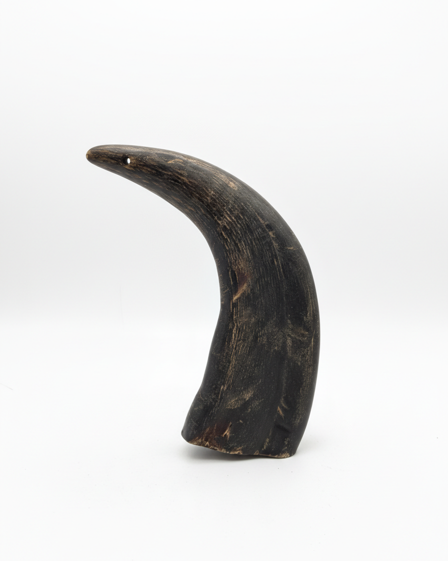 Solid buffalo horn dog chew on a white background